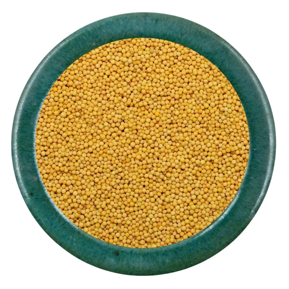 YELLOW MUSTARD SEEDS